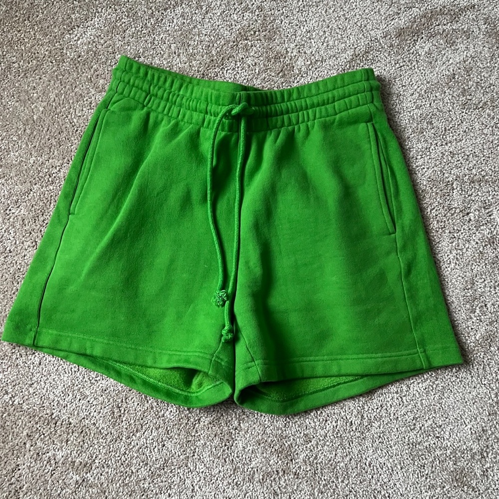 Aritzia shorts